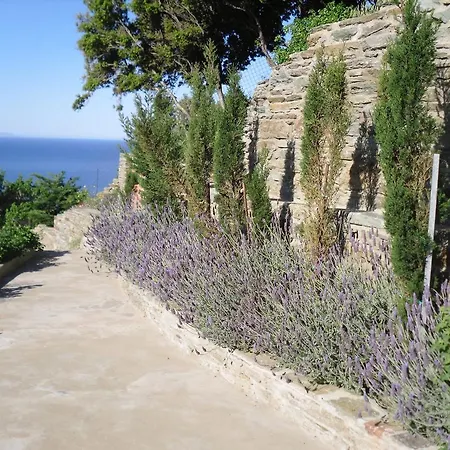 Aegean Castle Andros - Adults Only Agia Eleousa